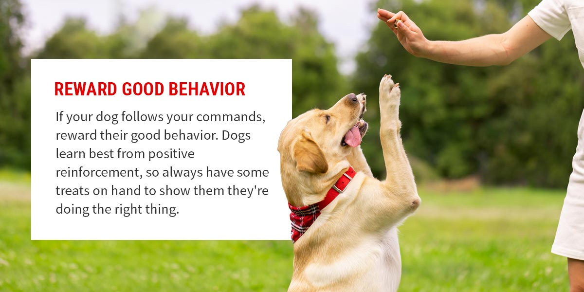 02-reward-good-behavior.jpg