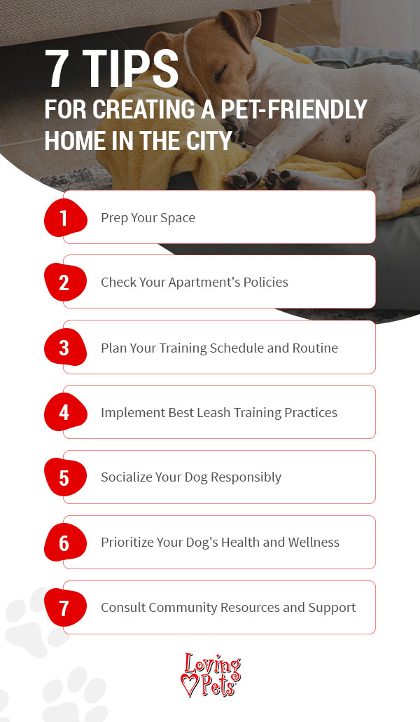 Creating a Pet-Friendly Home in the City: 7 Tips