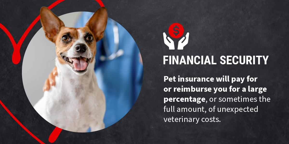 Financial Security