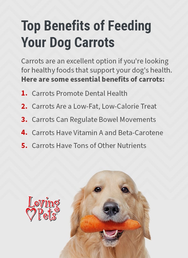 Are raw carrots good for sale dogs