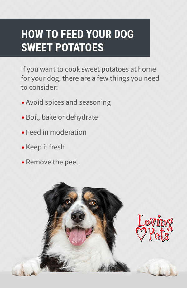 The Benefits of Sweet Potatoes for Dogs