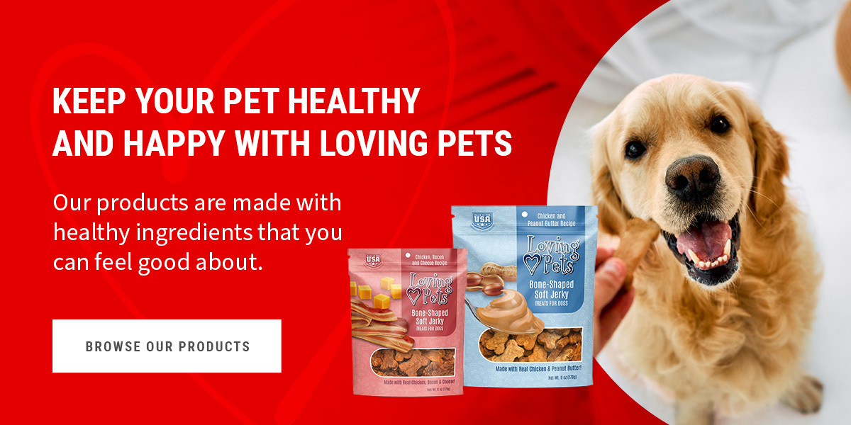 Keep Your Pet Healthy and Happy With Loving Pets