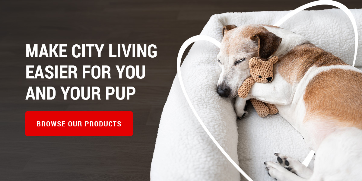 Make City Living Easier for You and Your Pup